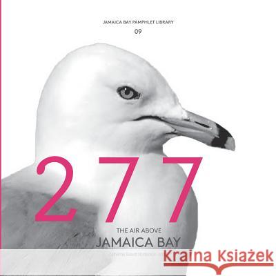 Jamaica Bay Pamphlet Library 09: The Air Above Jamaica Bay Catherine Seavit 9781942900092 Catherine Seavitt Nordenson - książka