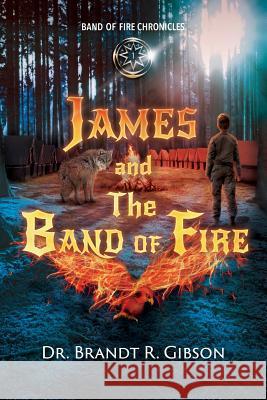 James and The Band of Fire Gibson, Brandt R. 9781640853058 Author Academy Elite - książka