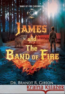 James and The Band of Fire Gibson, Brandt R. 9781640853065 Author Academy Elite - książka