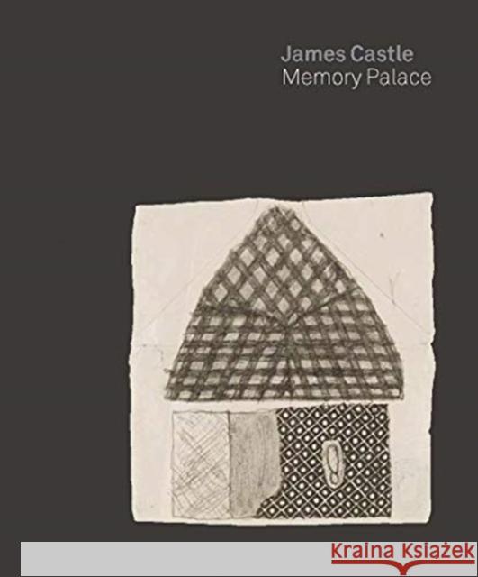 James Castle: Memory Palace John Beardsley 9780300253498 Yale University Press - książka