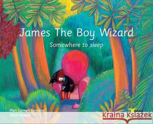 James The Boy Wizard: Somewhere to sleep Mari Carmen Gonzalez Silvia Alvarez Jenny Forbes 9788412510782 Batidora Ediciones - książka