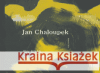 Jan Chaloupek Stanko Špoljarič 9788086587134 Vltavín - książka