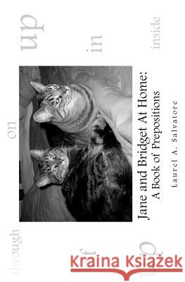 Jane and Bridget At Home: A Book of Prepositions Laurel a. Salvatore 9781499696363 Createspace Independent Publishing Platform - książka