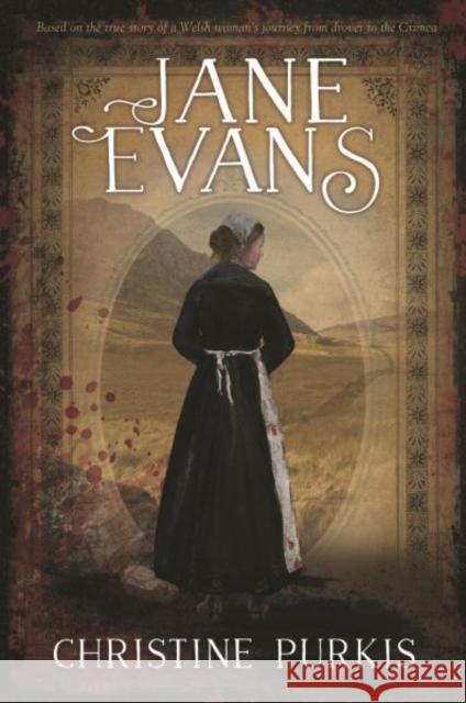 Jane Evans Christine Purkis 9781912631001 Y Lolfa - książka