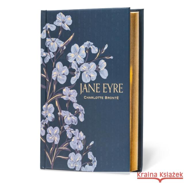 Jane Eyre (Special Edition) Charlotte Bronte 9781454952916 Union Square & Co. - książka