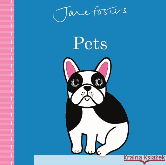 Jane Foster's Pets Jane Foster Jane Foster  9781787413627 Templar Publishing - książka