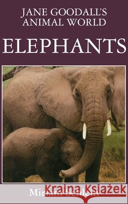 Jane Goodall's Animal World Elephants Miriam Schlein Jane Goodall 9781596875715 Ibooks for Young Readers - książka