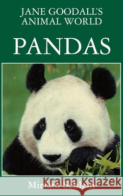 Jane Goodall's Animal World Pandas Miriam Schlein Jane Goodall 9781596875708 Ibooks for Young Readers - książka