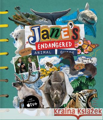Jane's Endangered Animal Guide: (The Ultimate Guide to Ending Animal Endangerment) (Ages 7-10) Christin Simms 9781684811779 Yellow Pear Press - książka