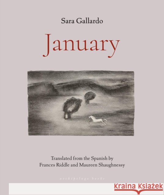 January Sara Gallardo Frances Riddle Maureen Shaughnessy 9781953861641 Archipelago Books - książka