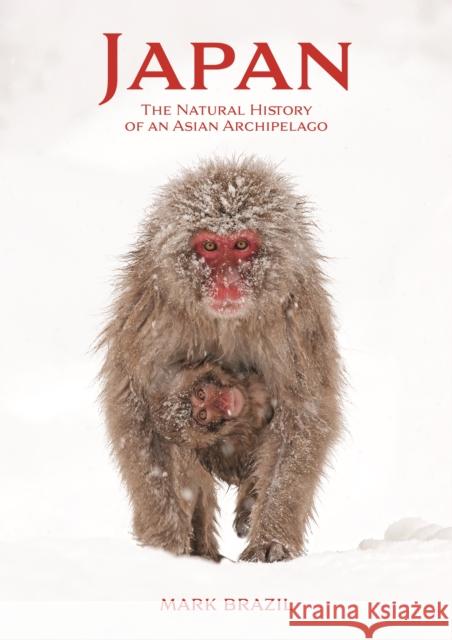 Japan: The Natural History of an Asian Archipelago Mark Brazil 9780691175065 Princeton University Press - książka