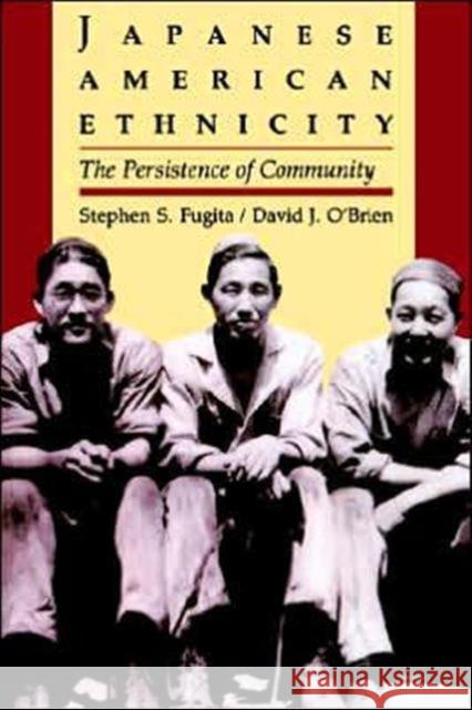 Japanese American Ethnicity: The Persistence of Community Fugita, Stephen S. 9780295973760 University of Washington Press - książka