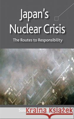 Japan's Nuclear Crisis: The Routes to Responsibility Carpenter, S. 9780230354920  - książka