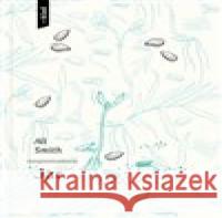 Jar Veronika Klímová 9788081503276 Artforum - książka