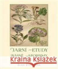 Jarní etudy Ivan Fontana 9788076060296 Kampe - książka