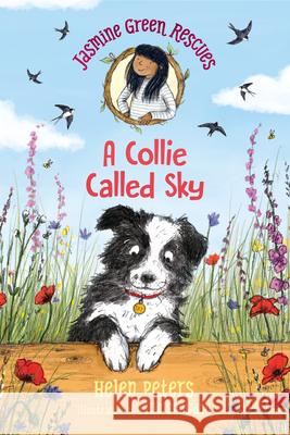 Jasmine Green Rescues: A Collie Called Sky Helen Peters Ellie Snowdon 9781536210262 Walker Books Us - książka