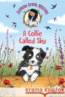 Jasmine Green Rescues: A Collie Called Sky Helen Peters Ellie Snowdon 9781536215717 Walker Books Us - książka