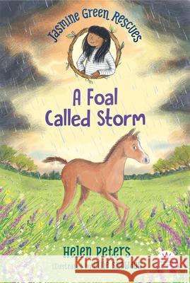 Jasmine Green Rescues: A Foal Called Storm Helen Peters Ellie Snowdon 9781536222722 Walker Books Us - książka