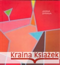 Jasná zpráva  9788025405291 Galerie města Plzně - książka