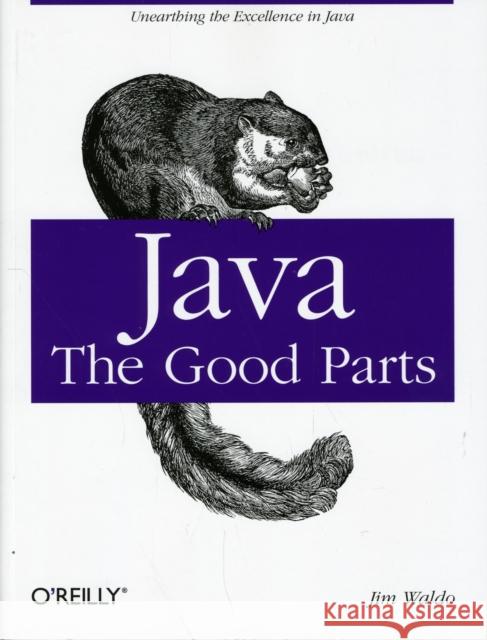 Java: The Good Parts: Unearthing the Excellence in Java Waldo, Jim 9780596803735  - książka