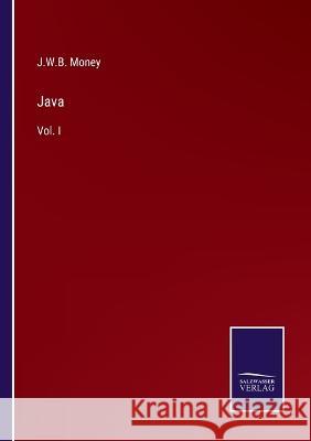 Java: Vol. I J W B Money 9783375040680 Salzwasser-Verlag - książka