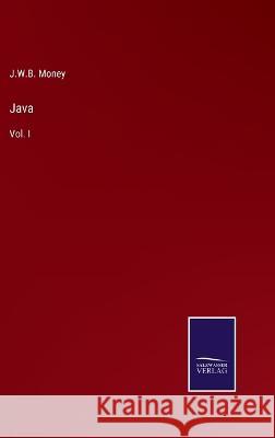 Java: Vol. I J W B Money 9783375040697 Salzwasser-Verlag - książka