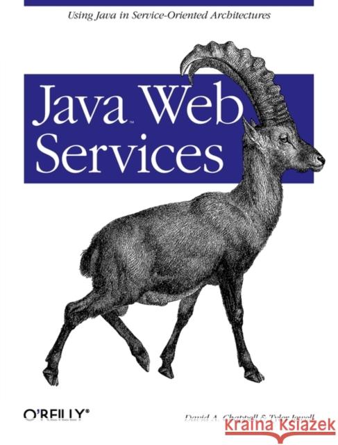 Java Web Services David A. Chappell Tyler Jewell 9780596002695 O'Reilly Media - książka