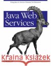 Java Web Services David A. Chappell Tyler Jewell 9780596002695 O'Reilly Media