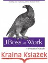 Jboss at Work: A Practical Guide: A Practical Guide Marrs, Tom 9780596007348 O'Reilly Media