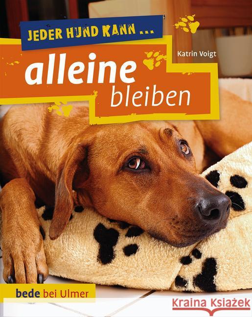Jeder Hund kann ... alleine bleiben : Keine Angst vor dem Alleinsein Voigt, Katrin 9783800178551 Bede - książka
