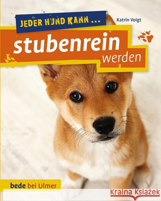 Jeder Hund kann ... stubenrein werden : So klappt's auch mit der Sauberkeit Voigt, Katrin 9783800178568 Bede - książka