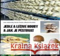 Jedlé a léčivé houby a jak je pěstovat Václav Šašek 9788088306030 Profi Press s.r.o. - książka
