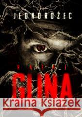 Jednorożec Rafał Glina 9788381325608 Zwierciadło - książka