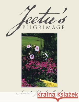 Jeetu's Pilgrimage Amrita Jatinder Singh 9781524585617 Xlibris - książka