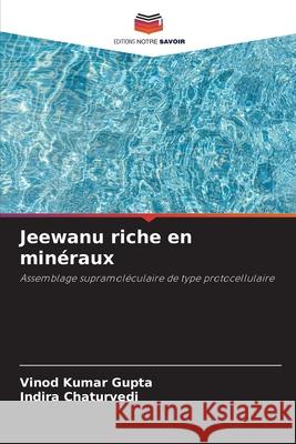 Jeewanu riche en min?raux Vinod Kumar Gupta Indira Chaturvedi 9786209207099 Editions Notre Savoir - książka