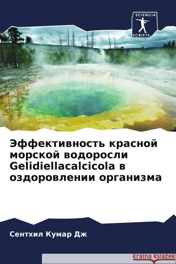 Jeffektiwnost' krasnoj morskoj wodorosli Gelidiellacalcicola w ozdorowlenii organizma Kumar Dzh, Senthil 9786204350509 Sciencia Scripts - książka