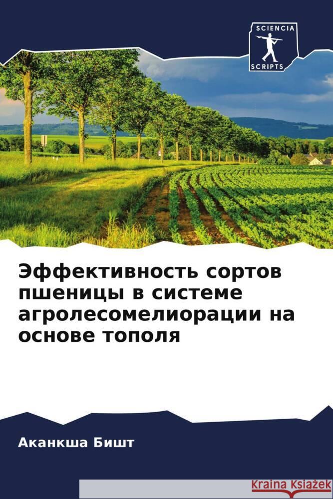 Jeffektiwnost' sortow pshenicy w sisteme agrolesomelioracii na osnowe topolq Bisht, Akanksha 9786204657370 Sciencia Scripts - książka