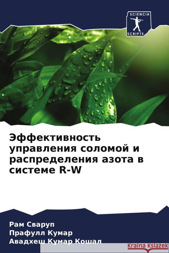 Jeffektiwnost' uprawleniq solomoj i raspredeleniq azota w sisteme R-W Swarup, Ram, Kumar, Prafull, Koshal, Awadhesh Kumar 9786205469309 Sciencia Scripts - książka