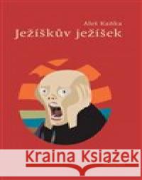 Ježíškův ježíšek Aleš Kaňka 9788072722686 Dauphin - książka