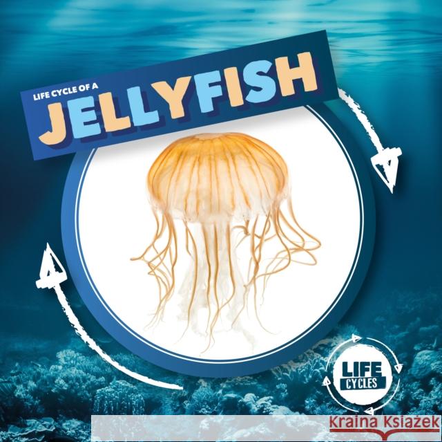 Jellyfish Kirsty Holmes 9781786379351 BookLife Publishing - książka