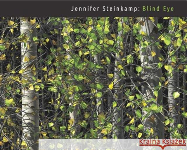 Jennifer Steinkamp: Blind Eye Lisa Saltzman 9780300237054 Clark Art Institute - książka