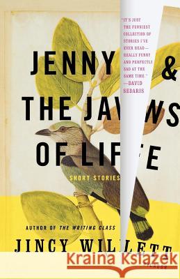 Jenny and the Jaws of Life: Short Stories Jincy Willett 9780312428105 Picador USA - książka