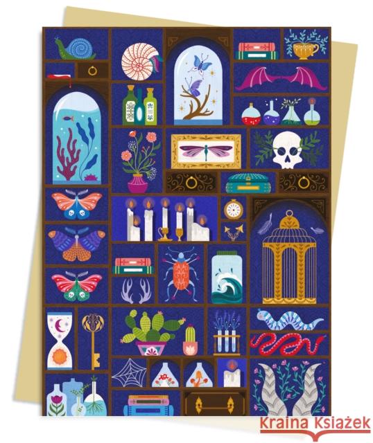 Jenny Zemanek: A Cabinet of Curiosities Greeting Card Pack: Pack of 6  9781835621967 Flame Tree Publishing - książka