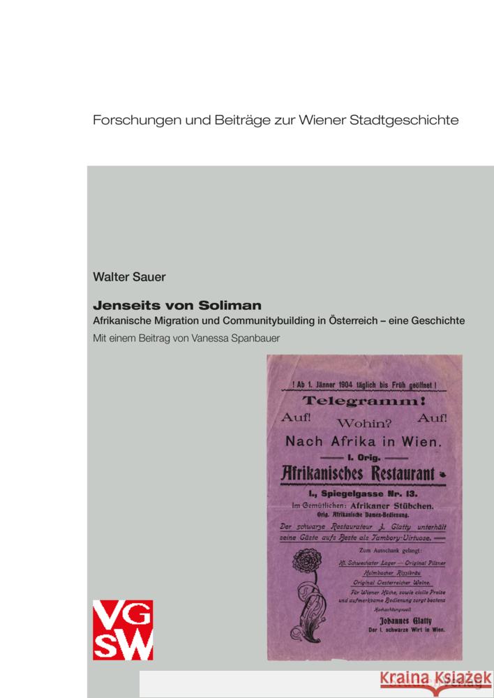 Jenseits von Soliman Sauer, Walter 9783706562690 StudienVerlag - książka