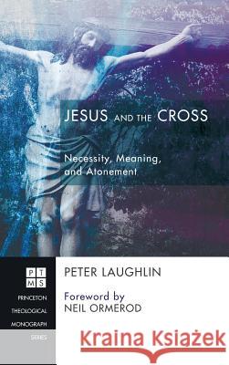 Jesus and the Cross Peter Laughlin, Neil Ormerod 9781498227117 Pickwick Publications - książka