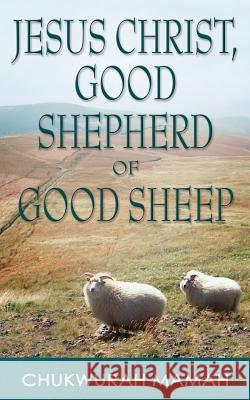 Jesus Christ: Good Shepherd of Good Sheep Chukwurah Hyginus Mamah 9781844015245 New Generation Publishing - książka