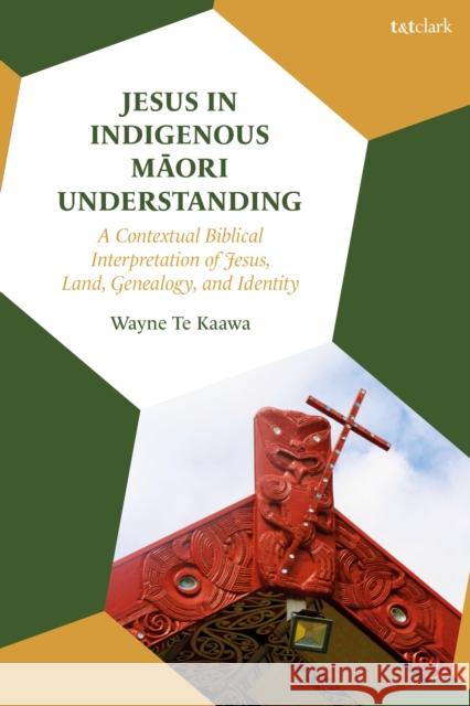 Jesus in Indigenous Maori Understanding Dr Wayne Te (University of Otago, New Zealand) Kaawa 9780567718105 Bloomsbury Publishing PLC - książka