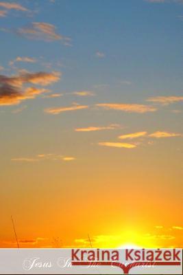 Jesus In The Eucharist Girardey Cssr, Ferreol 9781477564301 Createspace - książka