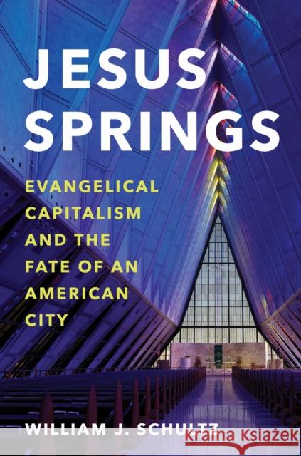 Jesus Springs: Evangelical Capitalism and the Fate of an American City William J. Schultz 9781469689364 University of North Carolina Press - książka