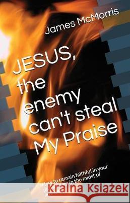 JESUS, the enemy can't steal My Praise: How to remain faithful in your praise even in the midst of adversity Christ, Jesus 9781983247897 Independently Published - książka